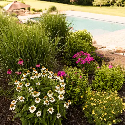 Native landscape with pool in the background