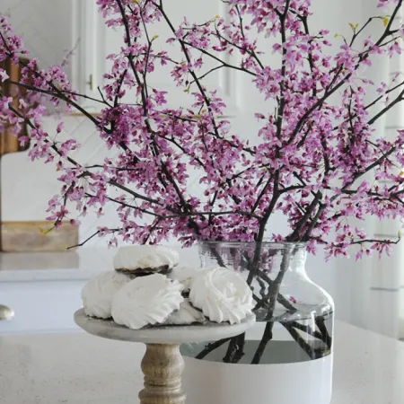Redbud