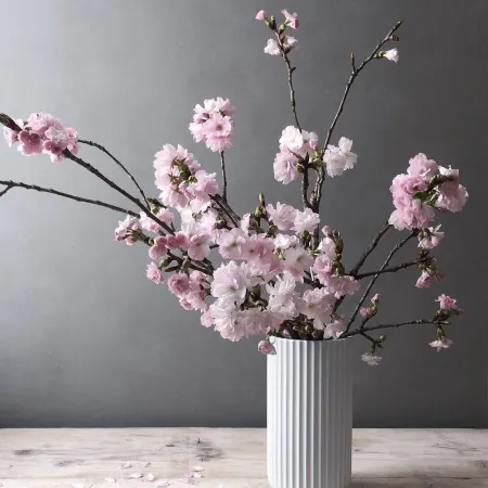Flowering Cherry